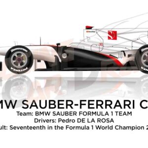 BMW Sauber - Ferrari C29 n.22 in the Formula 1 Champion 2010